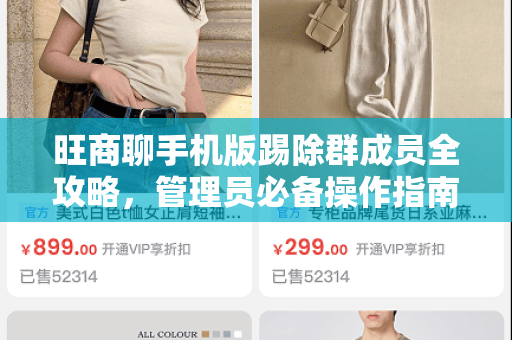 旺商聊手机版踢除群成员全攻略，管理员必备操作指南-第1张图片-旺商聊下载